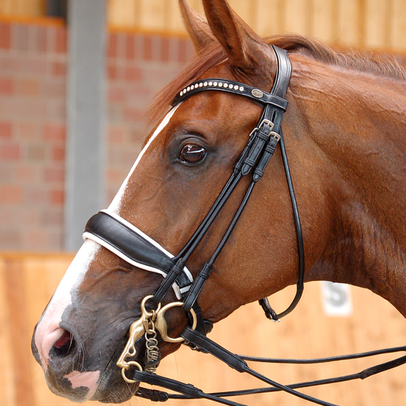 Dy'on Dy'on Rolled Dressage large crank noseband double bridle matt black leather w/ white padding