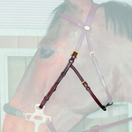 Dy'on Dy'on Hackamore cheek pieces 1/2”, with adjustment strap on jawbone, tonal colour stitching, brass buckles