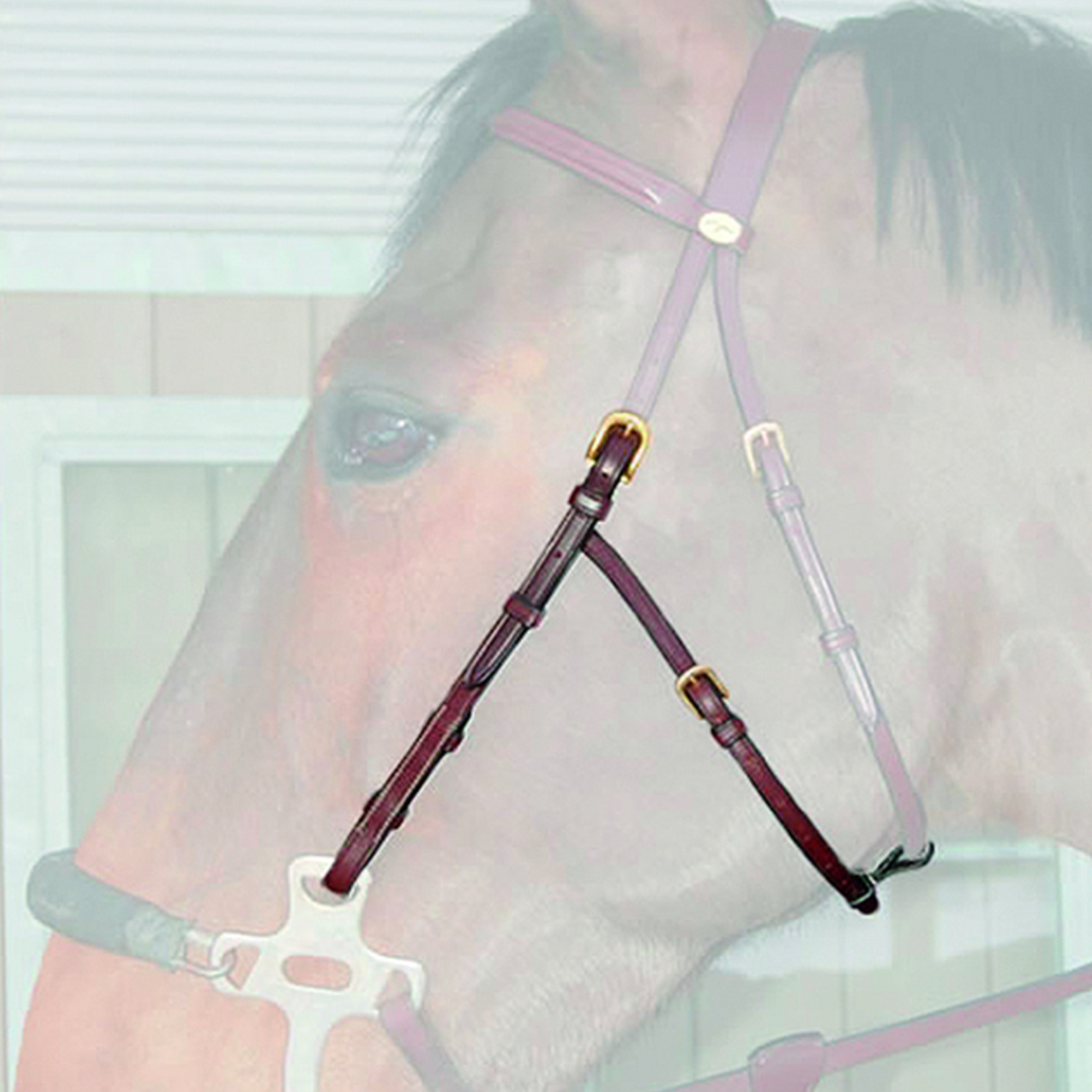 Dy'on Dy'on Hackamore cheek pieces 1/2”, with adjustment strap on jawbone, tonal colour stitching, brass buckles