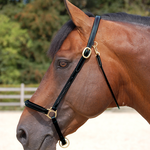 Dy'on WO09B Dy'on Fancy Leather Grooming Halter