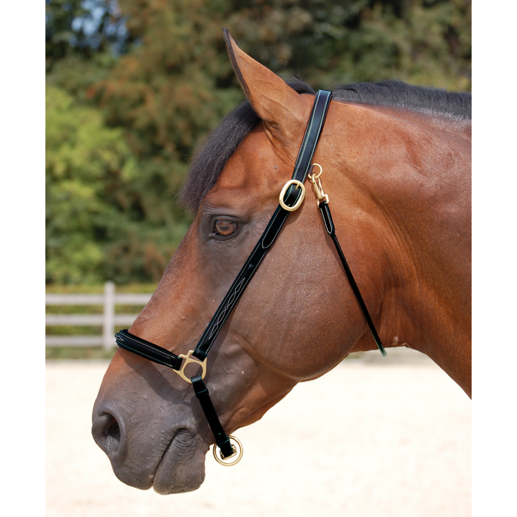 Dy'on WO09B Dy'on Fancy Leather Grooming Halter