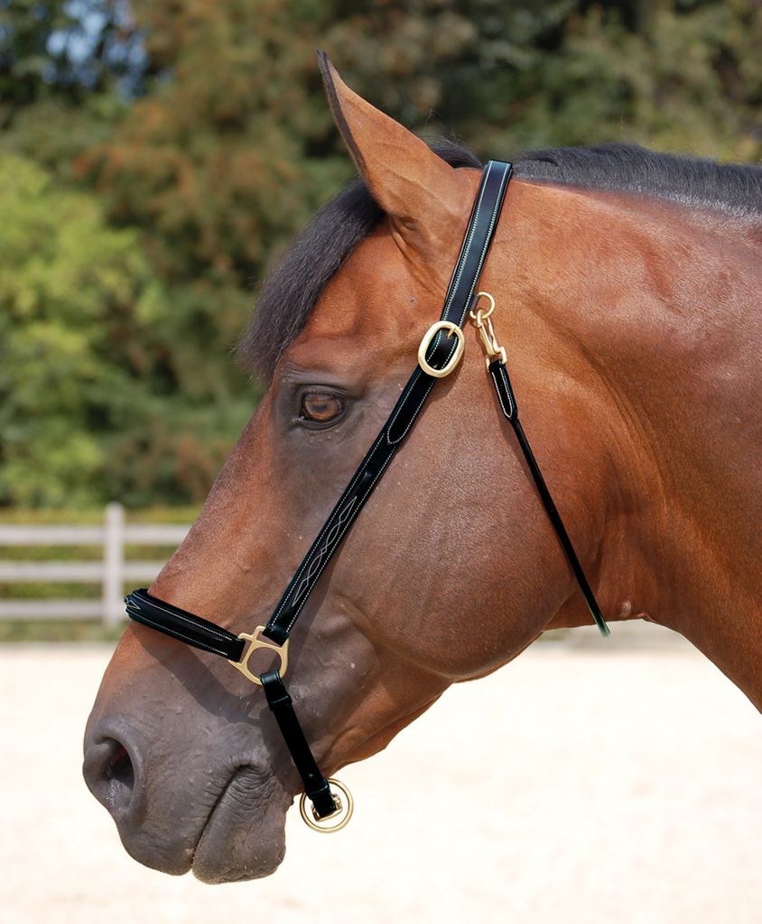 Dy'on Fancy Leather Grooming Halter RIDE