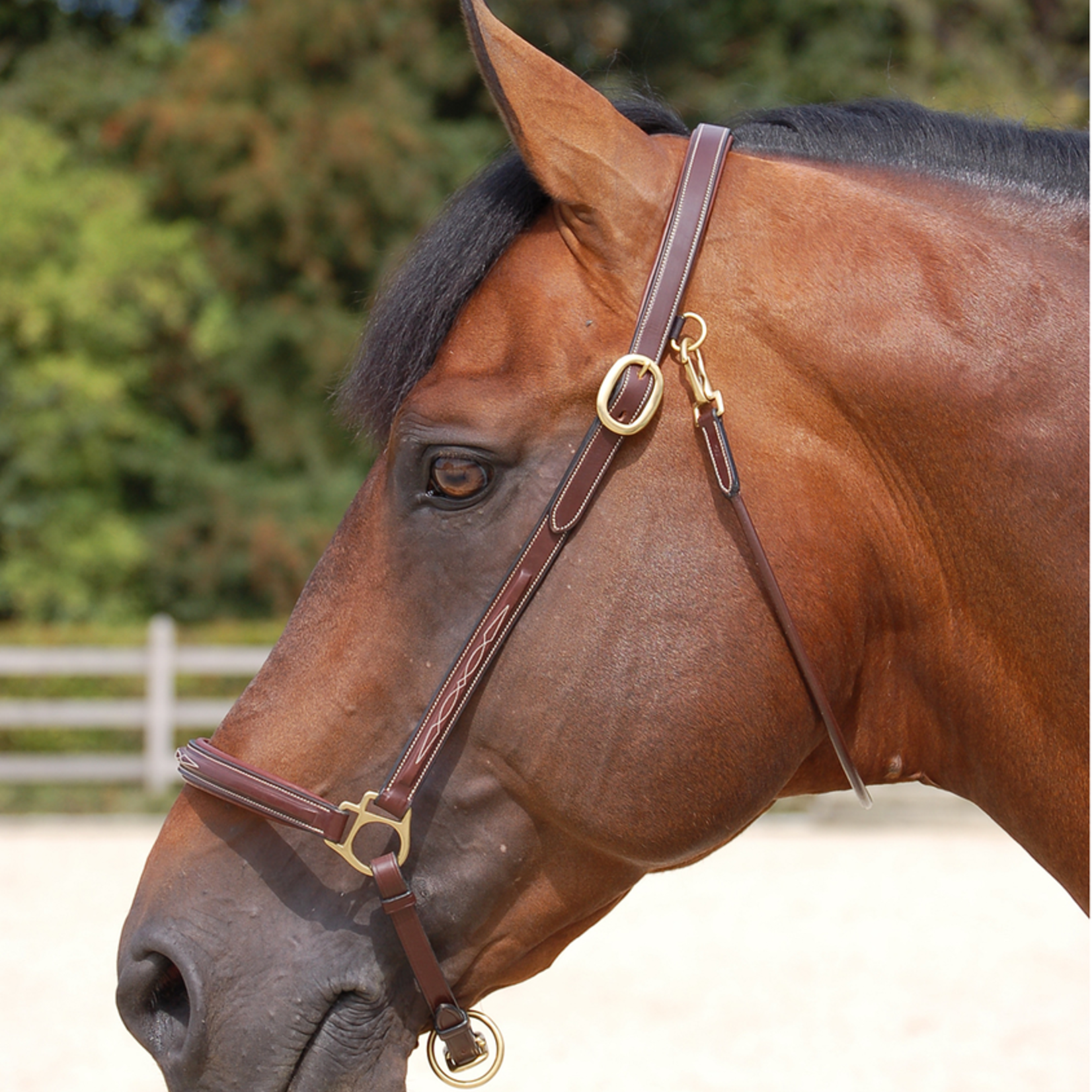 Dy'on WO09B Dy'on Fancy Leather Grooming Halter