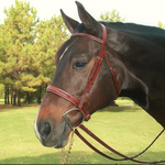 Equusport Equusport Jimmy’s Hunter Bridle