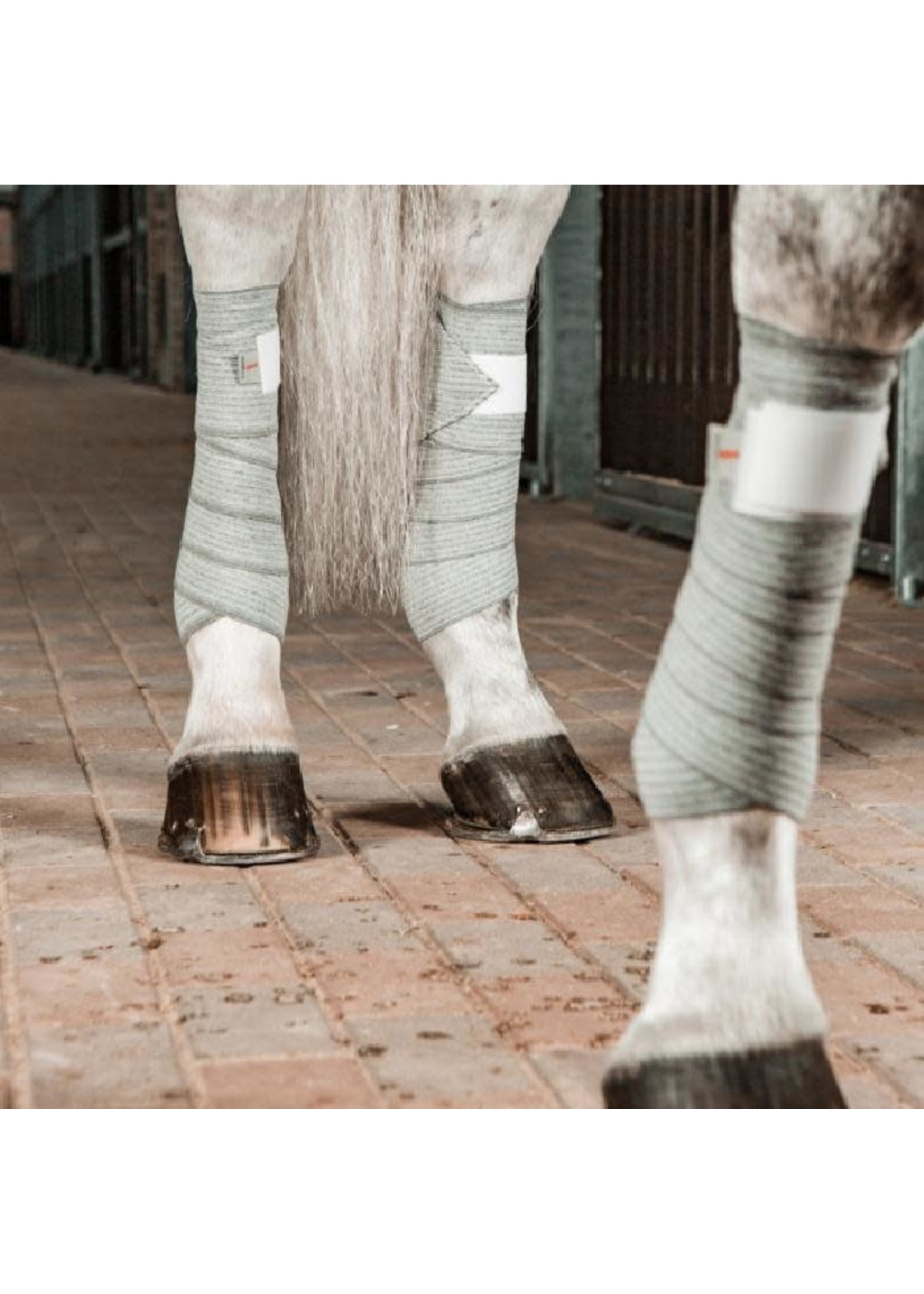 Horse Size Incrediwear Therapeutic Leg Wrap Exercise Bandages, Based on