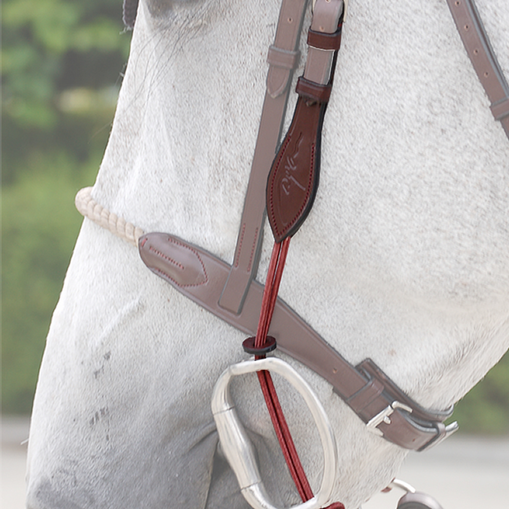 Dy'on NE03B Dy’on Thin Ropes Gag Cheek Pieces, Nylon cheek pieces for gag bit, English leather and rope 4 mm, Removable rings, Matching colour stitching, Stainless steel buckles