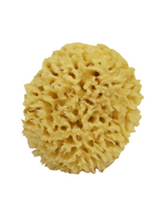 Small Natural Sponge