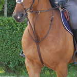 Dy'on DY07G Dy'on Running Martingale w/ Cream Fancy Stitching w/Brass Hardware