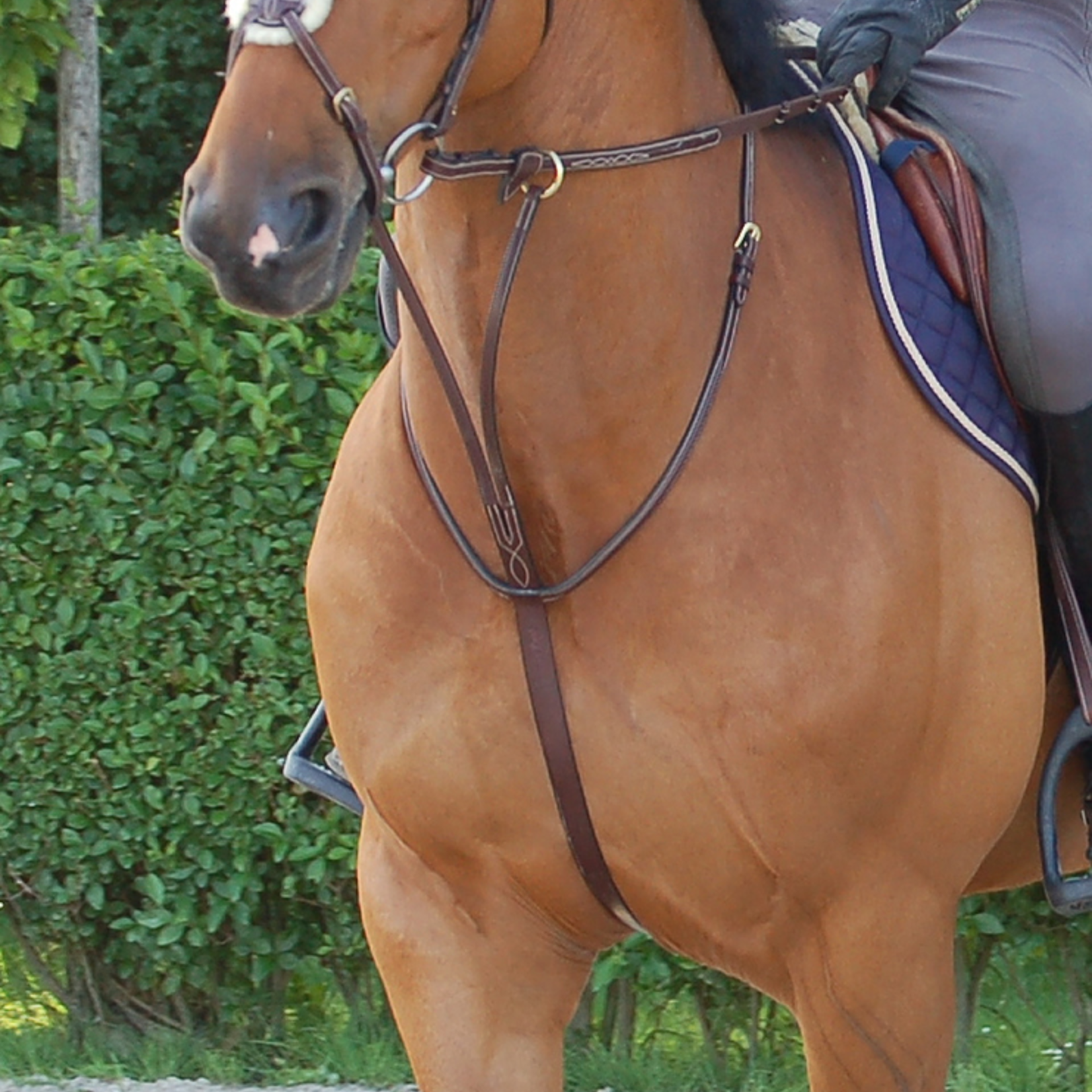 Dy'on DY07G Dy'on Running Martingale w/ Cream Fancy Stitching w/Brass Hardware