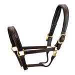 Walsh Company Walsh Signature Halter