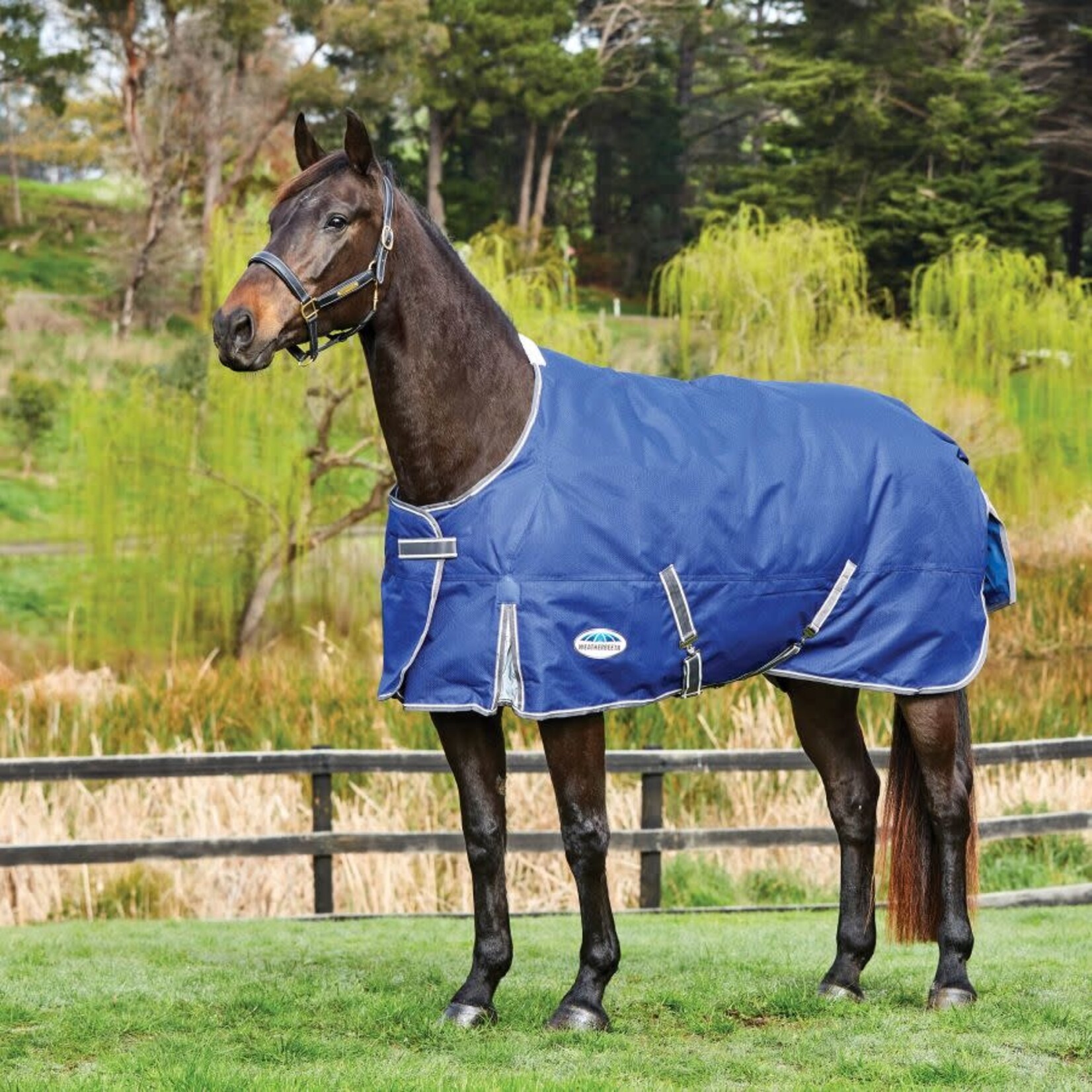 Weatherbeeta Weatherbeeta Comfitec Premier Free II Standard Neck Lite Turnout Sheet