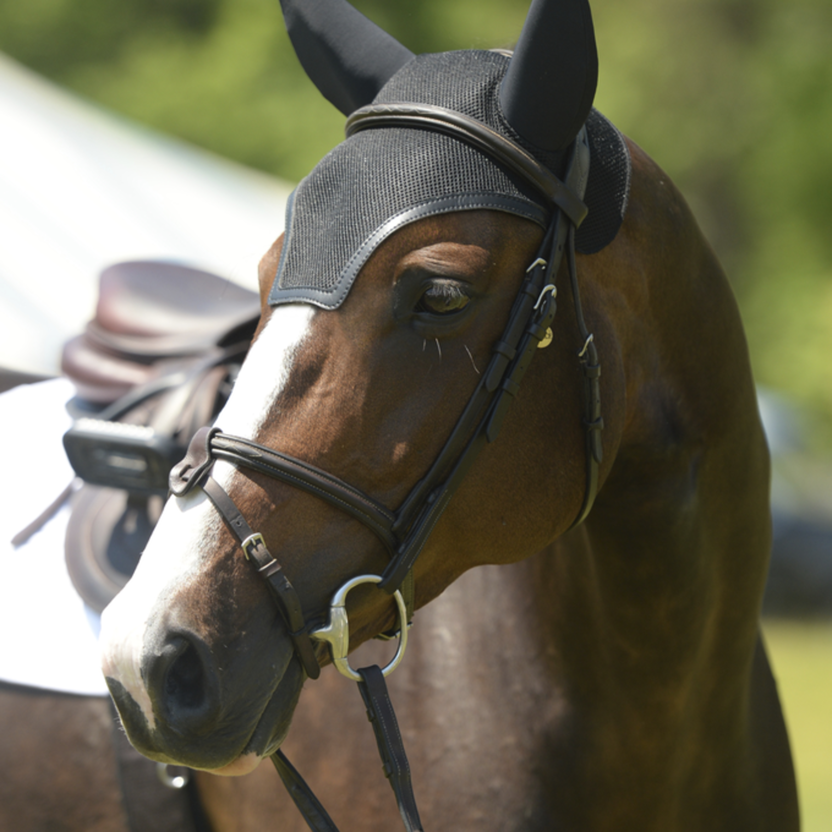 Equifit Equifit SilentFit Ear Bonnet with Colored Trim