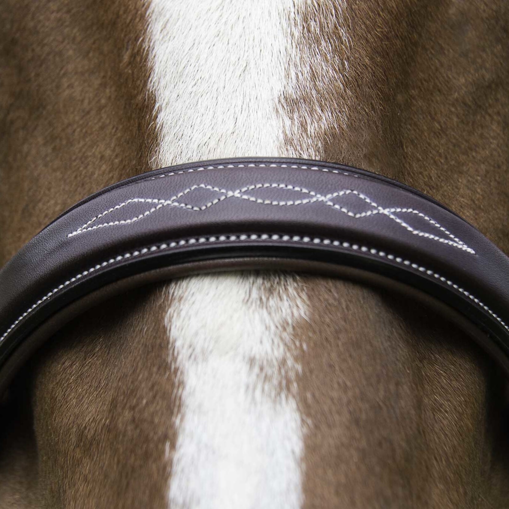 Vespucci Vespucci Veritas Fancy Raised Hunter Bridle w/ Matching Laced Reins