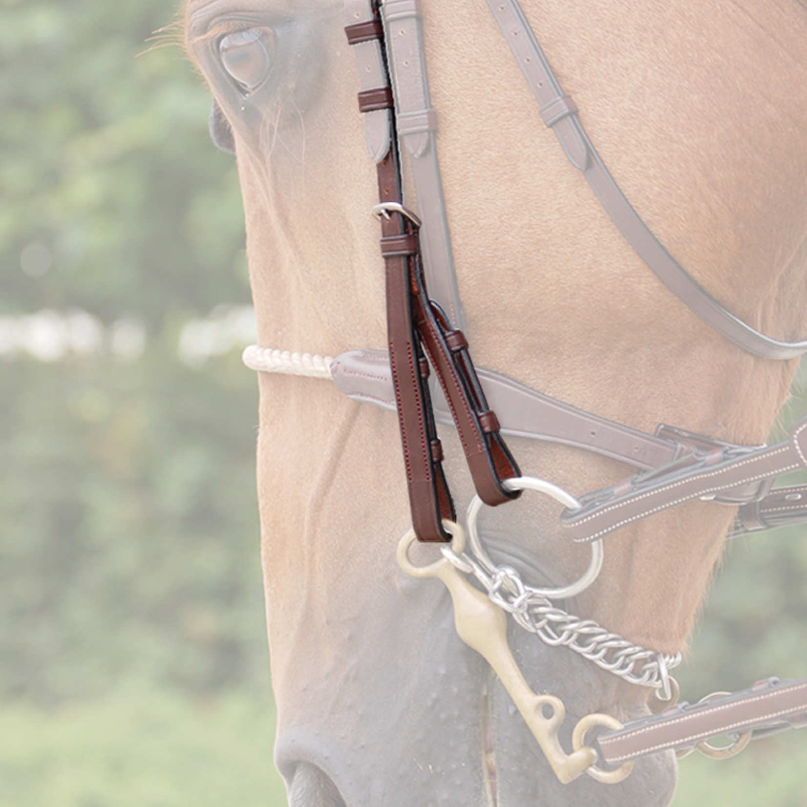 Dy'on NE03F Dy’on Double Bridle Cheek Pieces, New English Collection