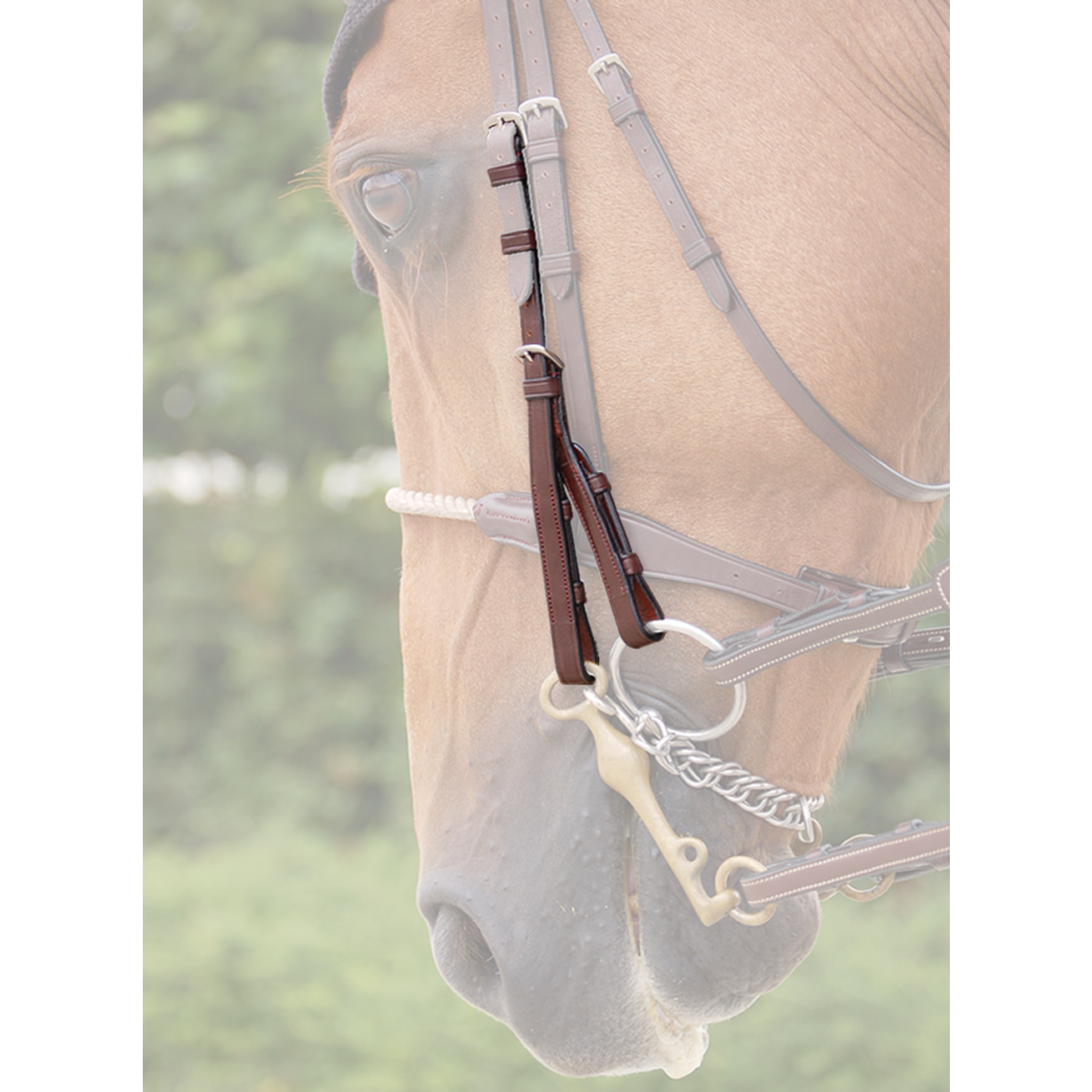 Dy'on NE03F Dy’on Double Bridle Cheek Pieces, New English Collection