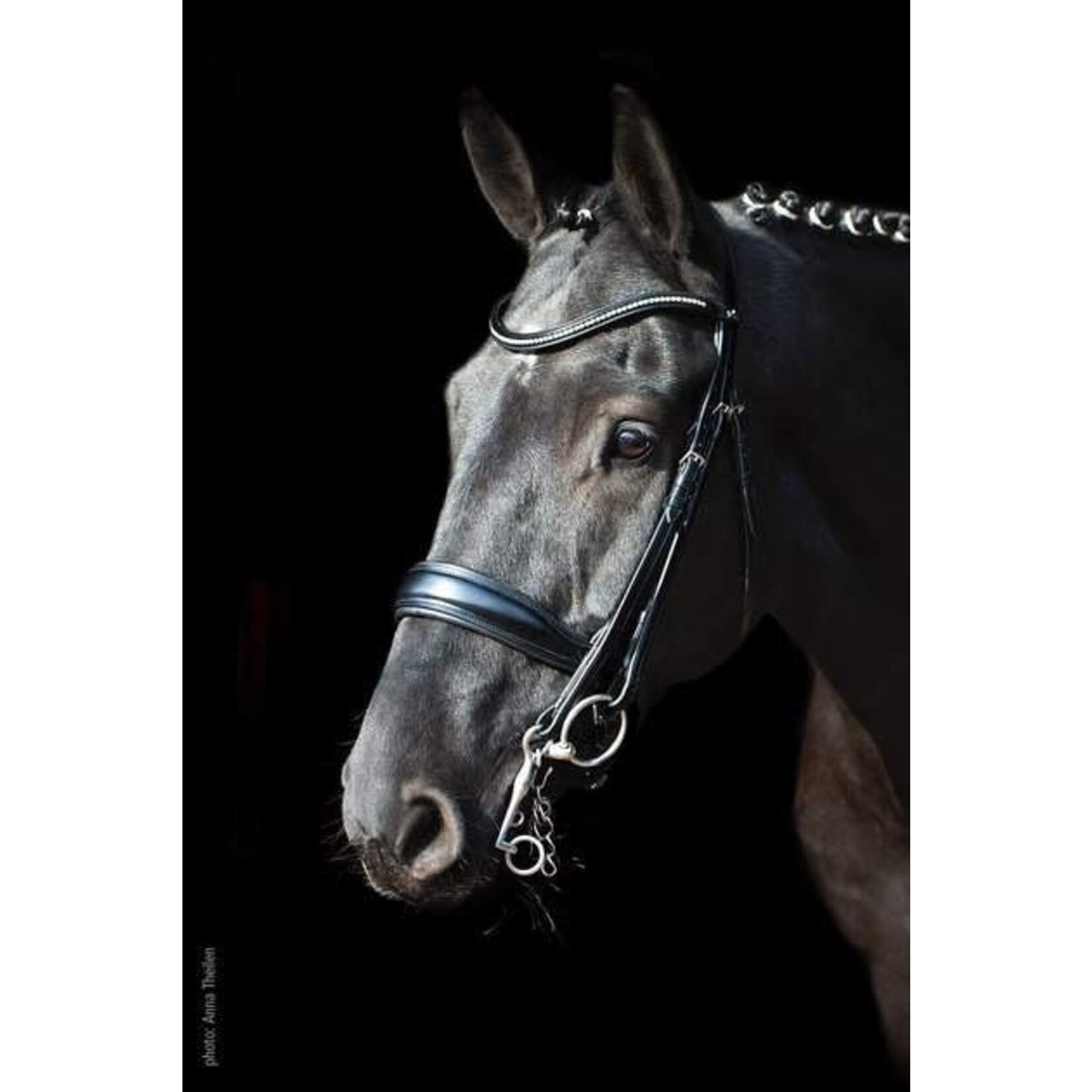 1111-00010 Schockemohle Milan Anatomic Double Bridle, Padded with Silver Hardware, includes two browbands: leather and crystal