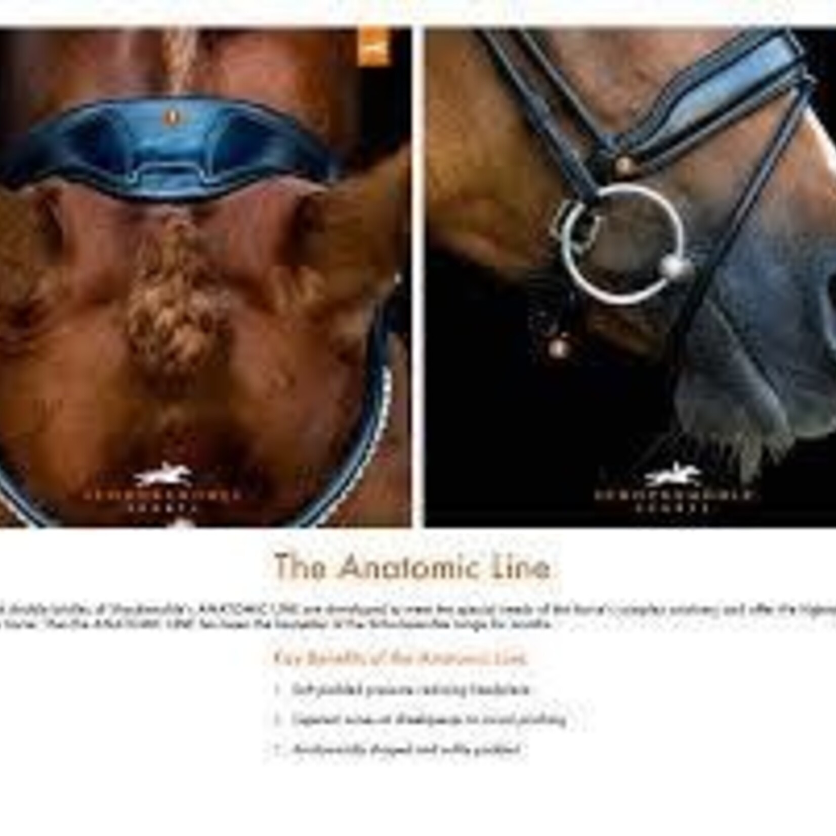 1111-00010 Schockemohle Milan Anatomic Double Bridle, Padded with Silver Hardware, includes two browbands: leather and crystal