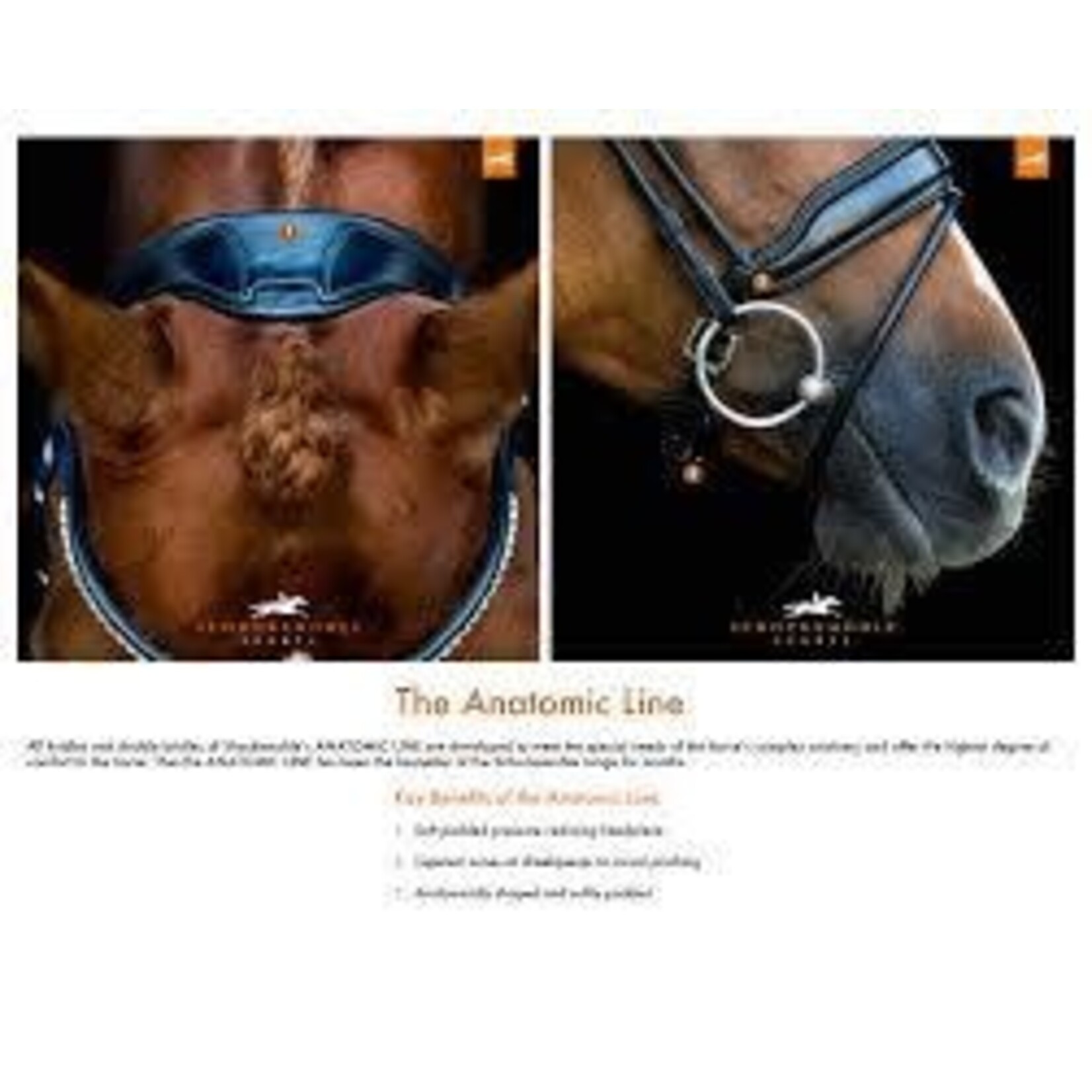 1111-00010 Schockemohle Milan Anatomic Double Bridle, Padded with Silver Hardware, includes two browbands: leather and crystal