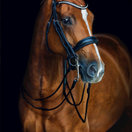 1111-00009 Venice Premium Double Bridle with anatomic headpiece