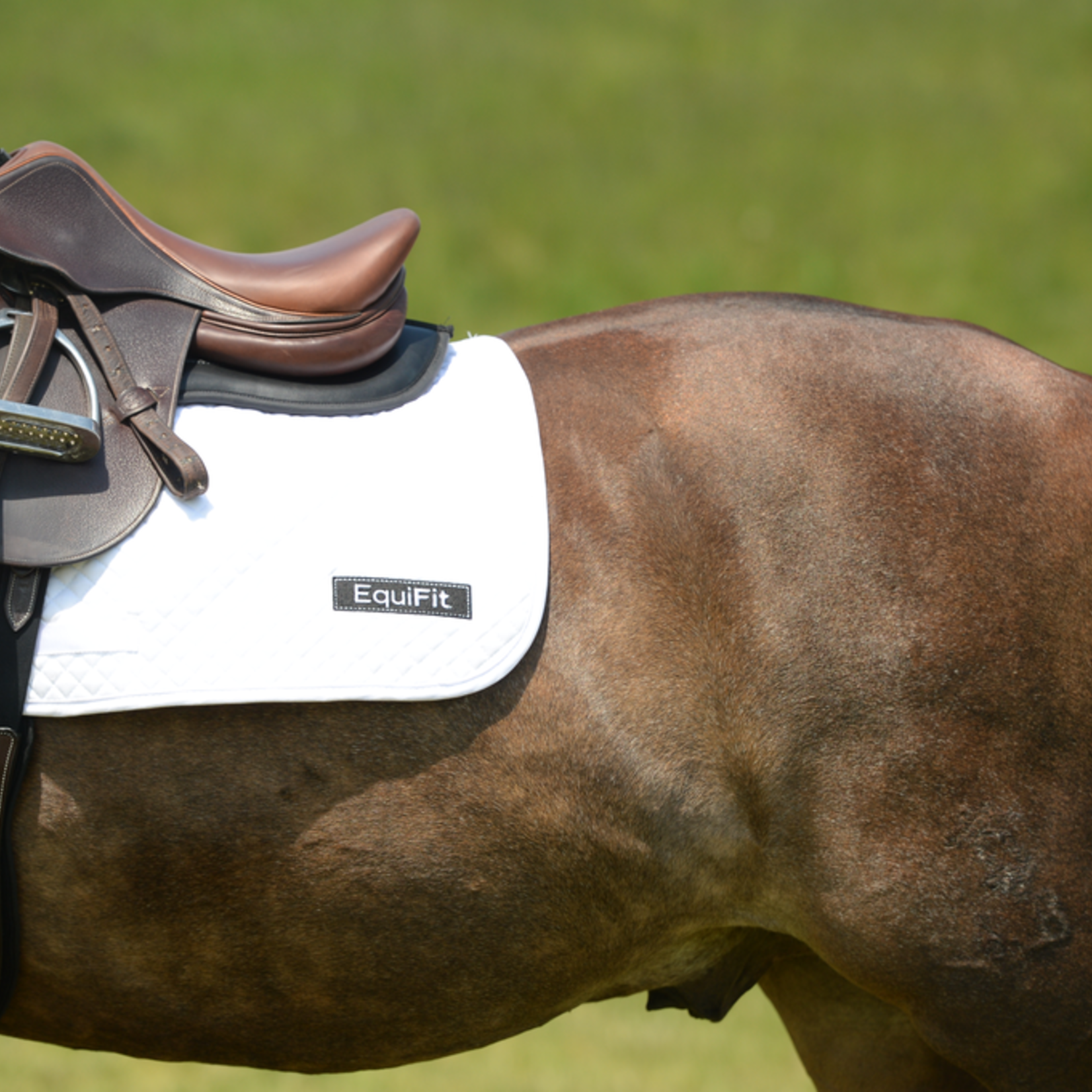 Equifit 32960 Anatomical Pony Hunter Girth w/ T-Foam Liner