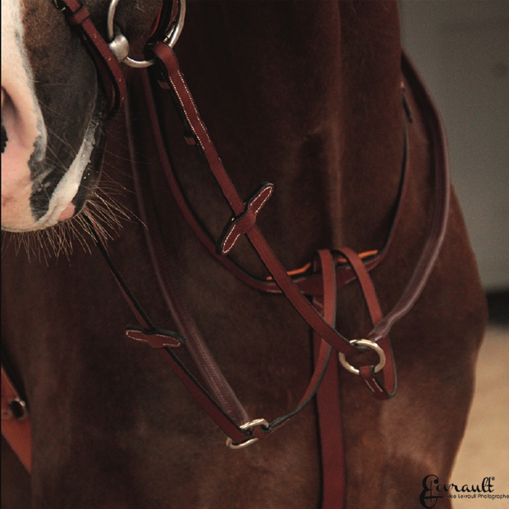 Butet Butet Grained Running Martingale