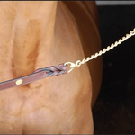 Dy'on WO10B Dy'on Leather Lead