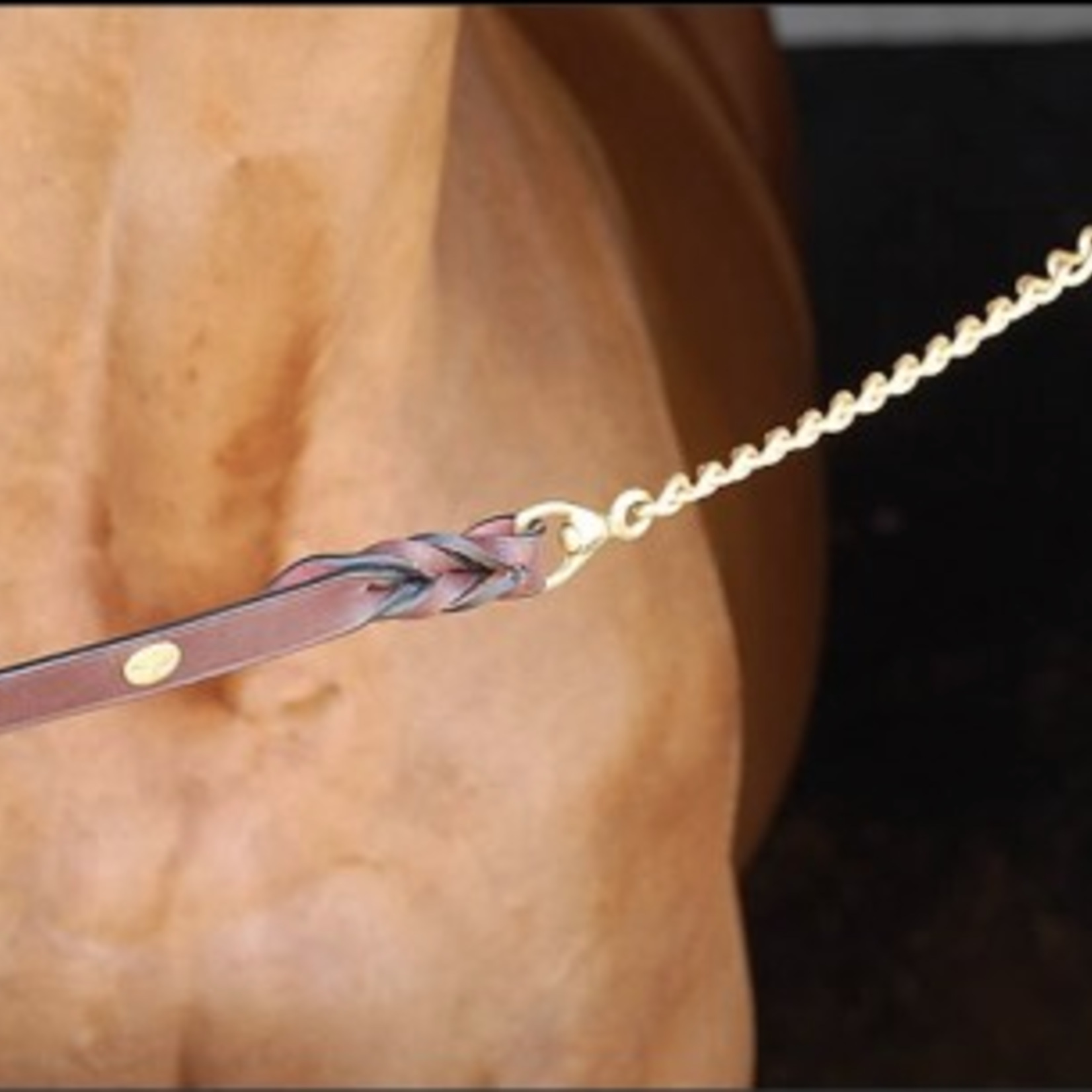 Dy'on WO10B Dy'on Leather Lead