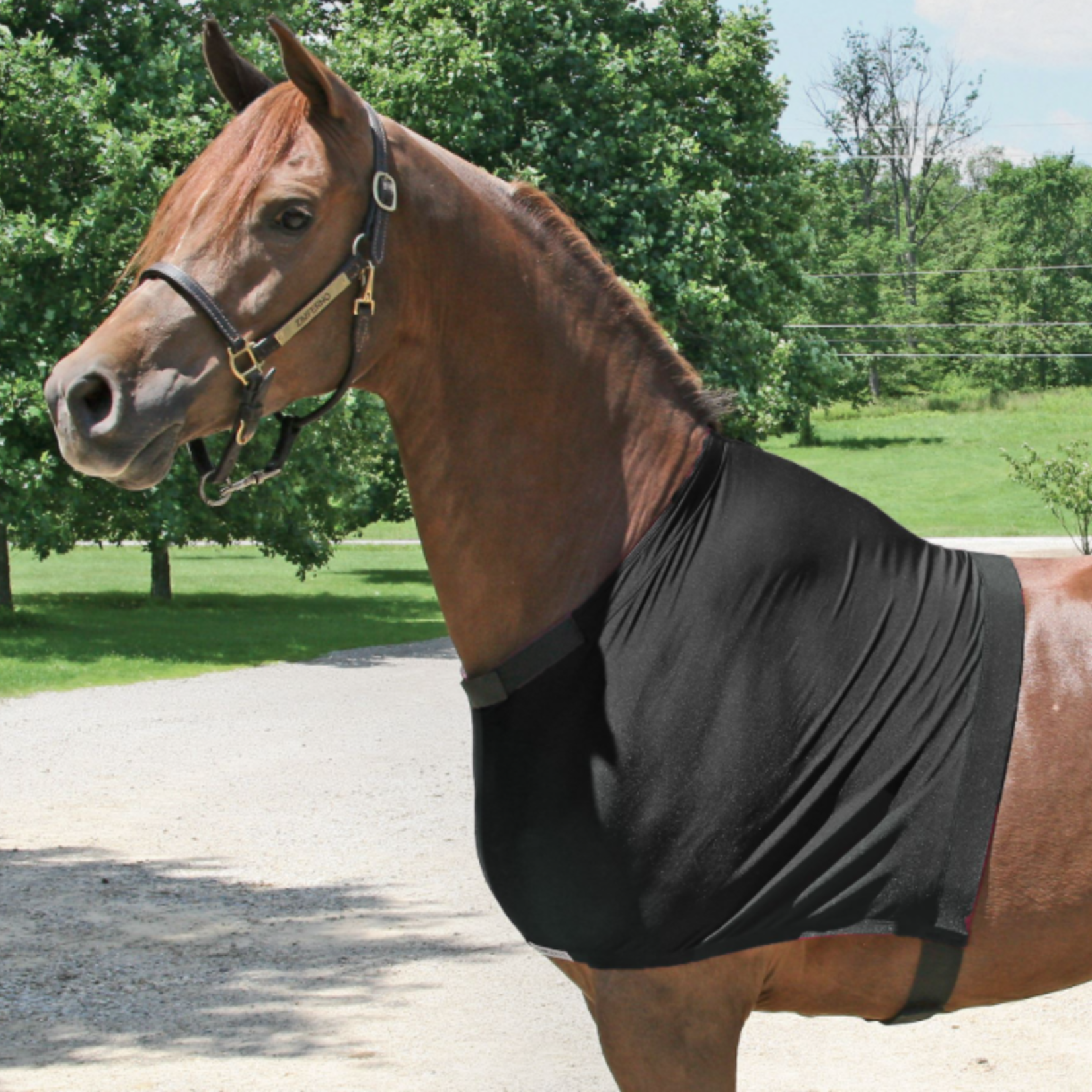 Schneiders Schneiders UltraFlex Shoulder Guard