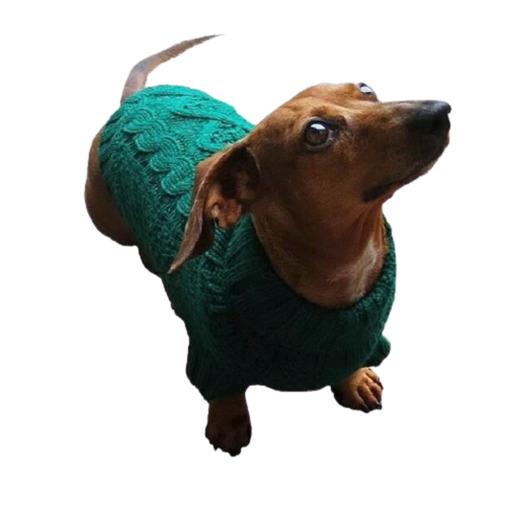 Dallas Dogs Ltd Dallas Dogs Irish Knit Sweater 10”