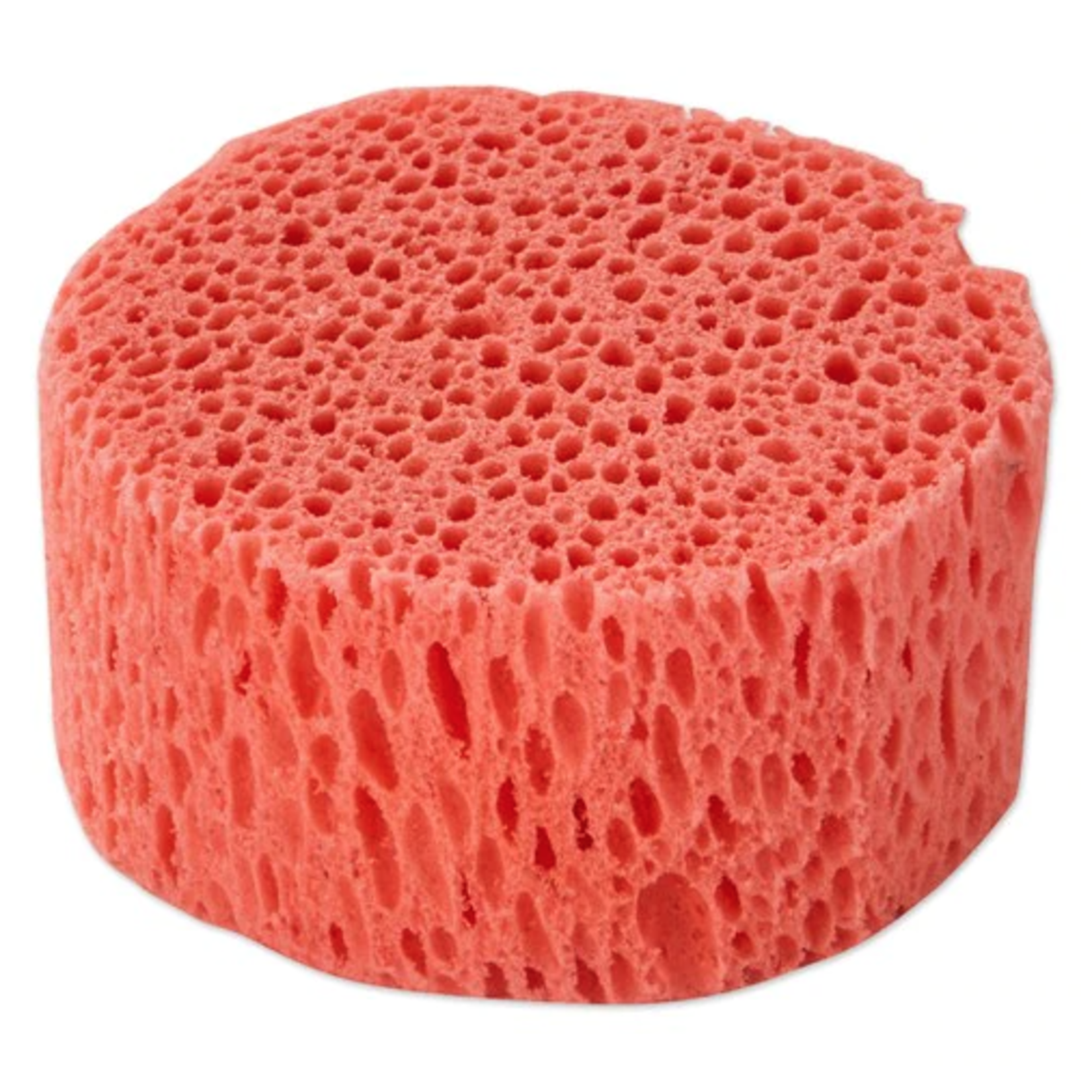 Equest Mini Tack Sponge