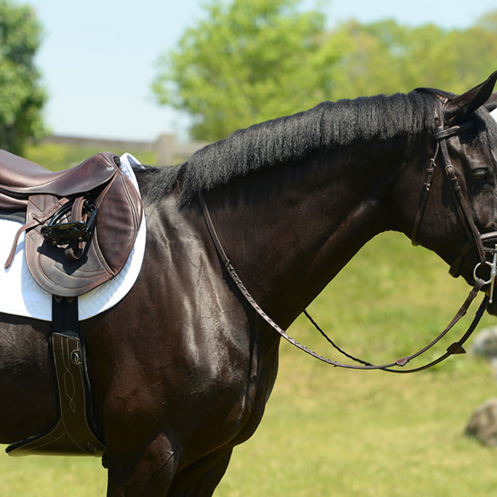Equifit Equifit Anatomical BellyGuard Girth with T-Foam Liner