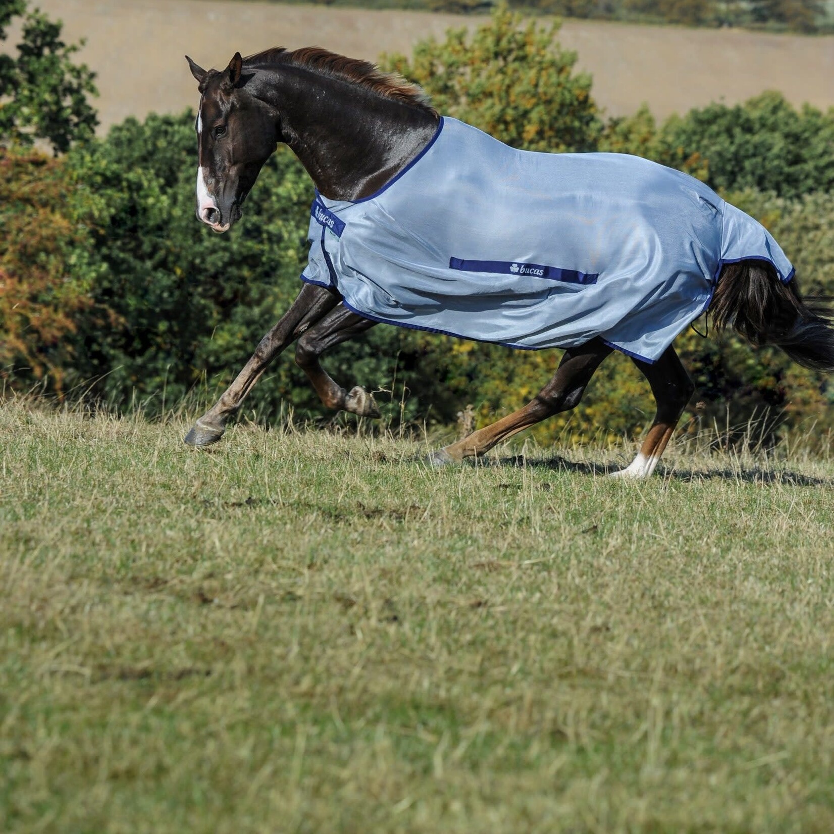 Bucas Bucas Buzz Off Fly Sheet