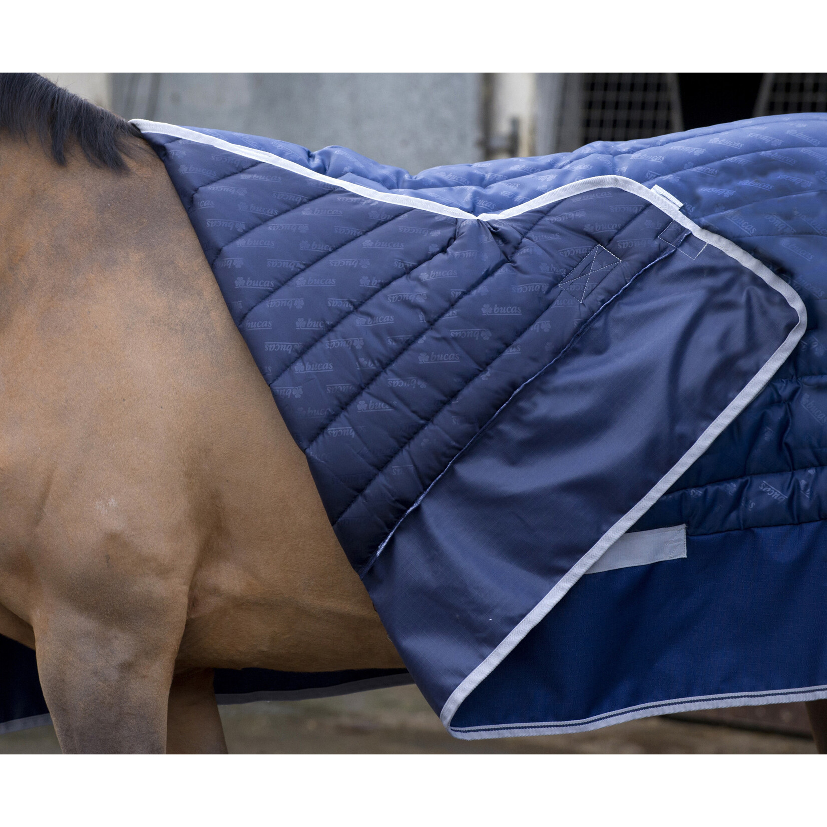 Bucas Select Quilted Stable Blanket - RIDE