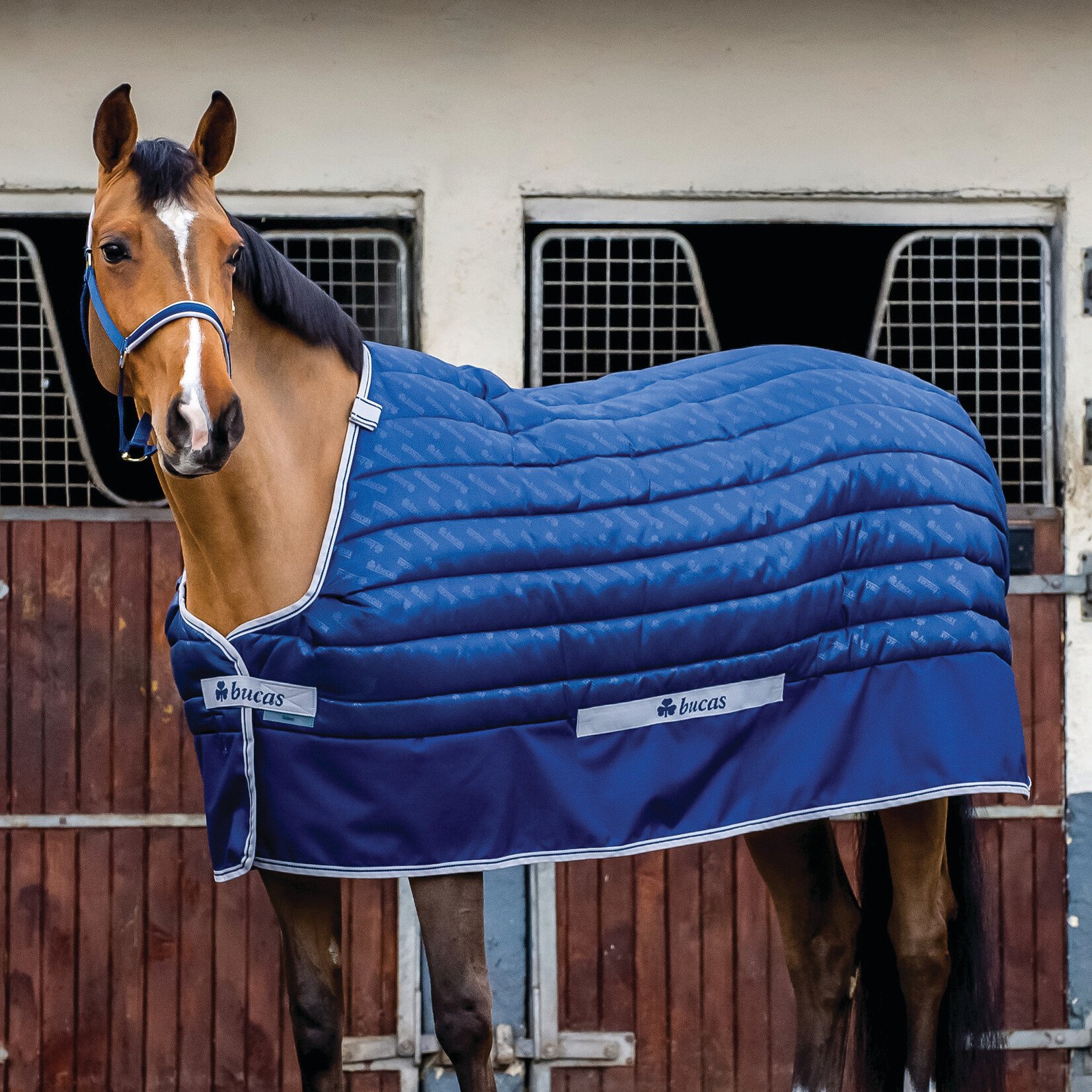 Bucas Select Quilted Stable Blanket - RIDE