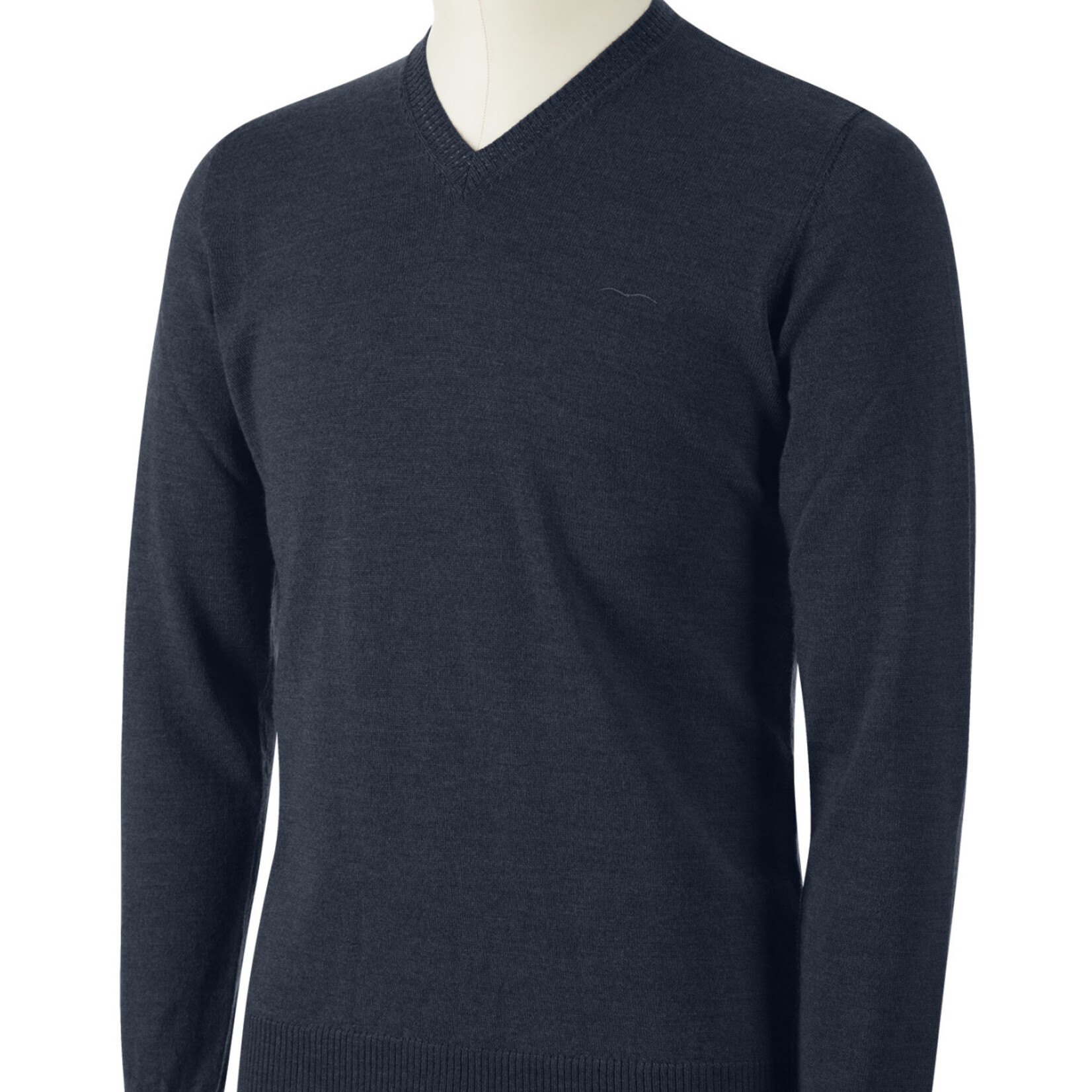 Animo Animo Roice Men's V-Neck Sweater