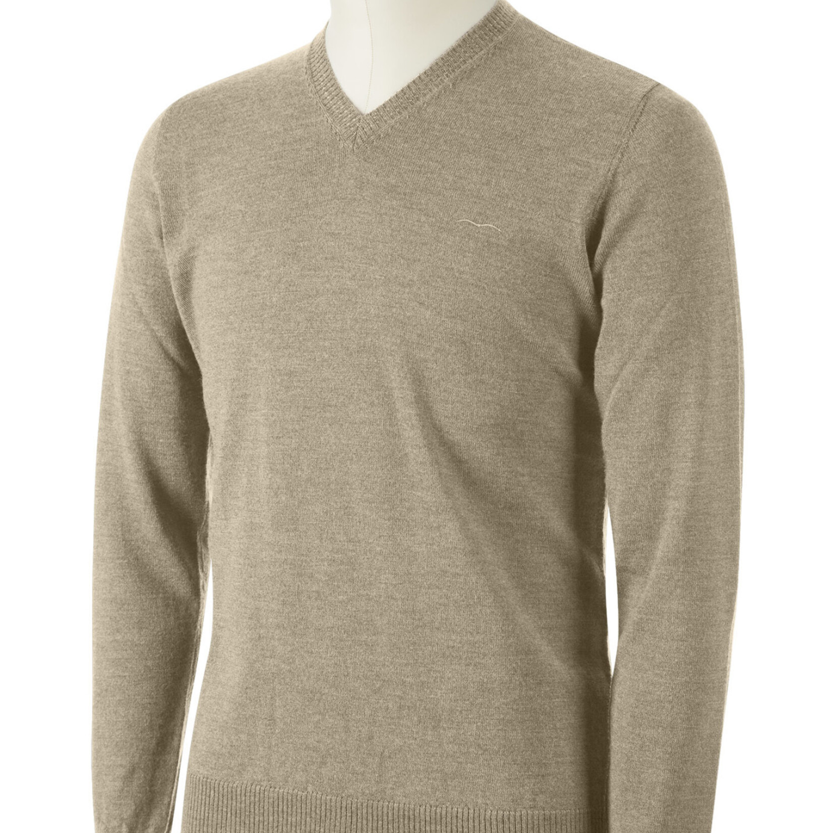 Animo Animo Roice Men's V-Neck Sweater