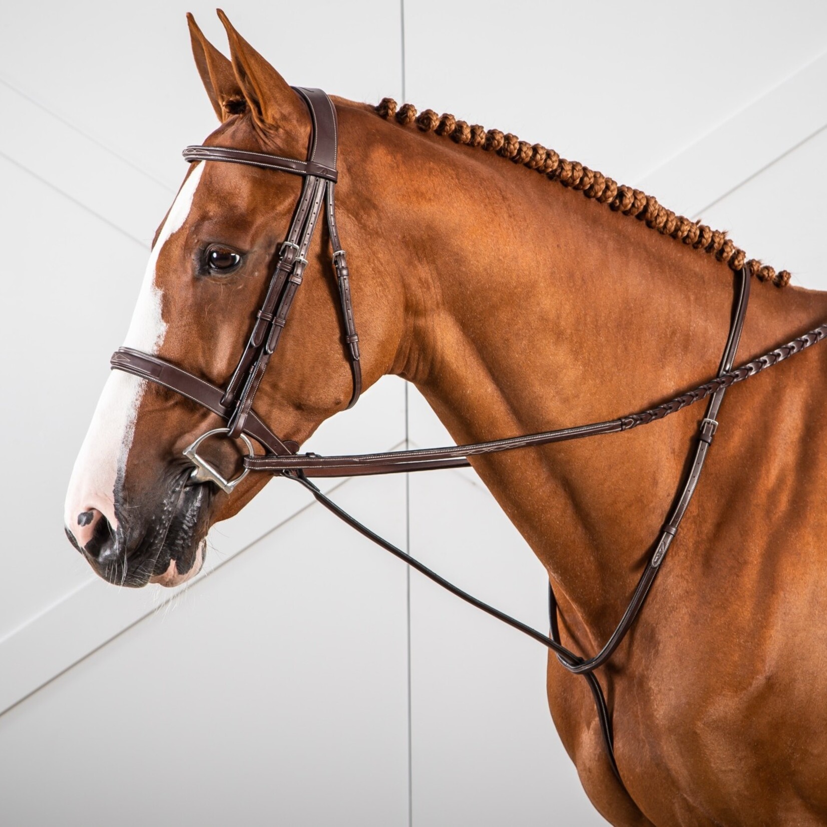 Dy'on US07H Dy’on Hunter Collection Standing Martingale