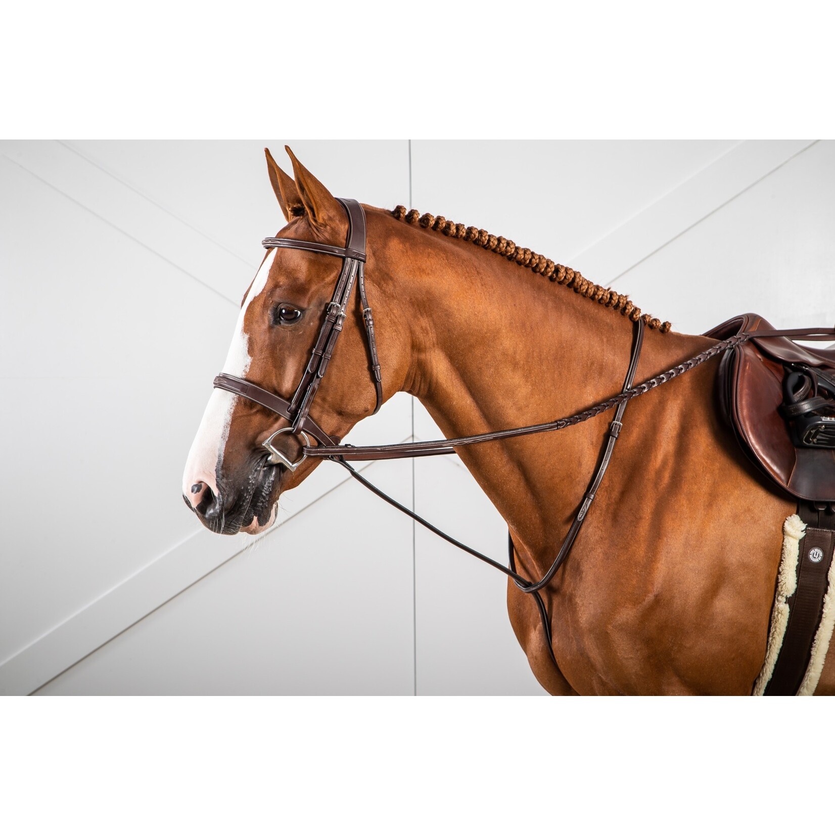 Dy'on US07H Dy’on Hunter Collection Standing Martingale