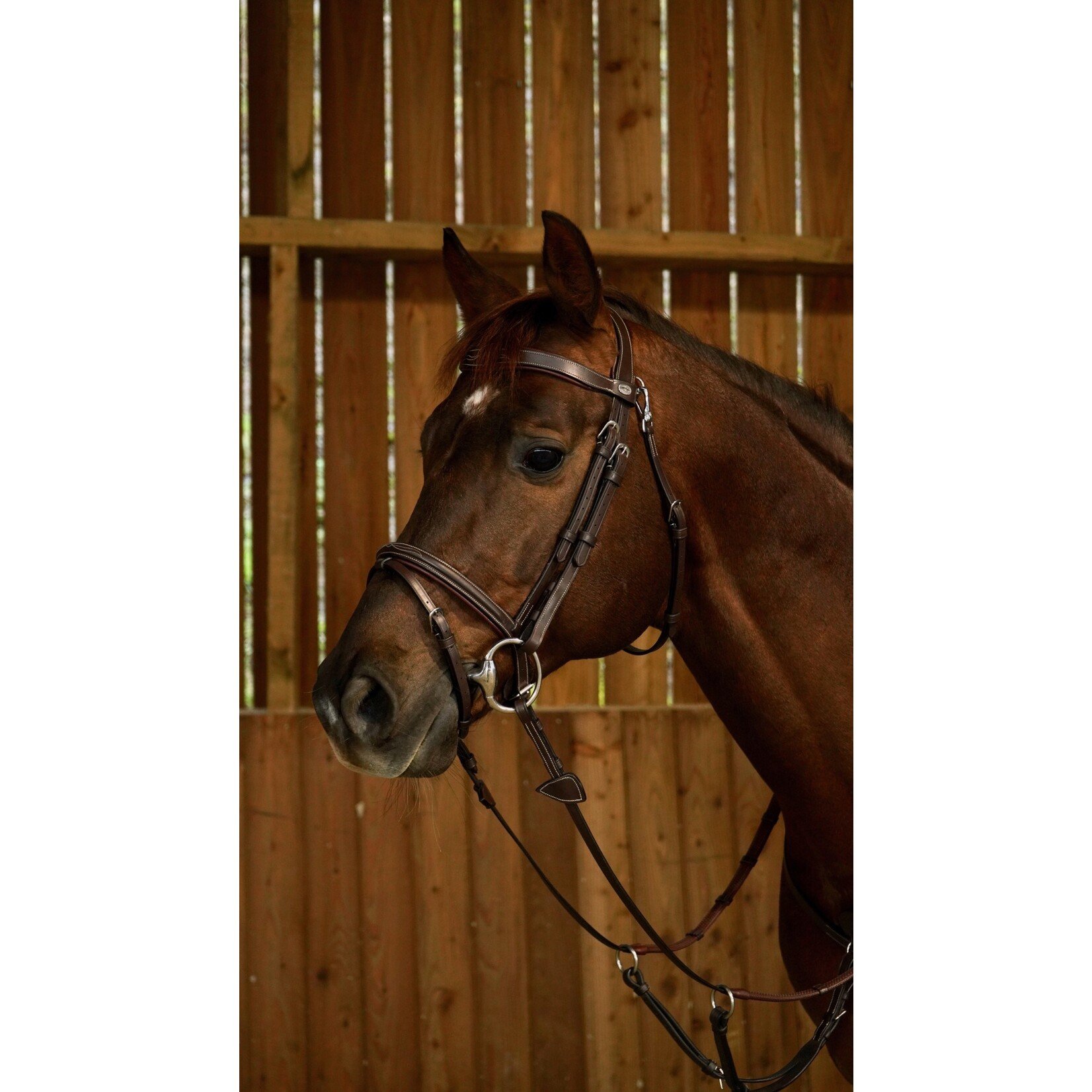 Flash Noseband Bridle With Snap Hooks Black Full Working By Dyon