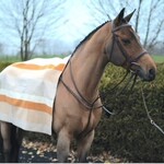 Butet La Méricaine x Butet Limited Edition Wool Blanket