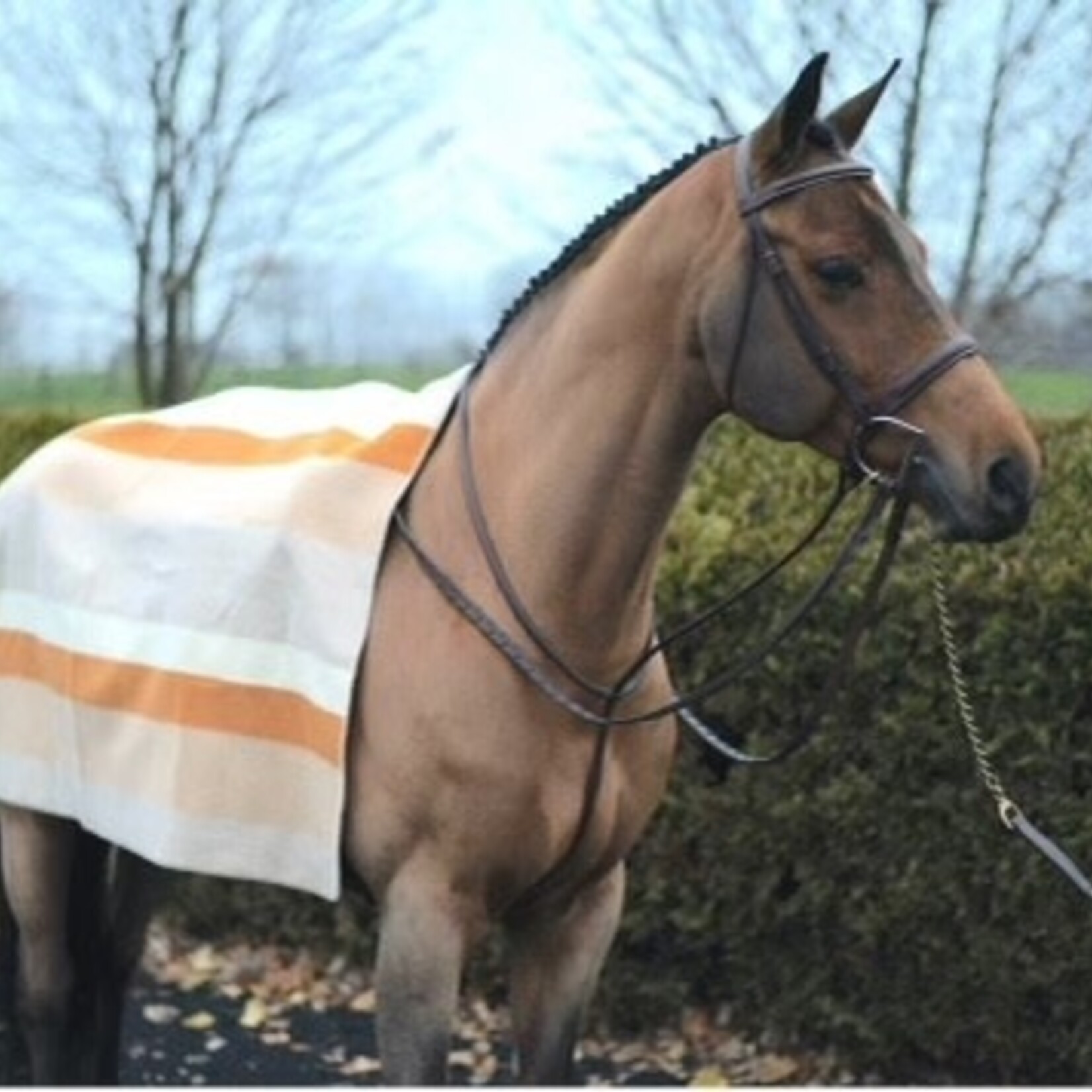 Butet La Méricaine x Butet 50 pc Limited Edition Wool Blanket