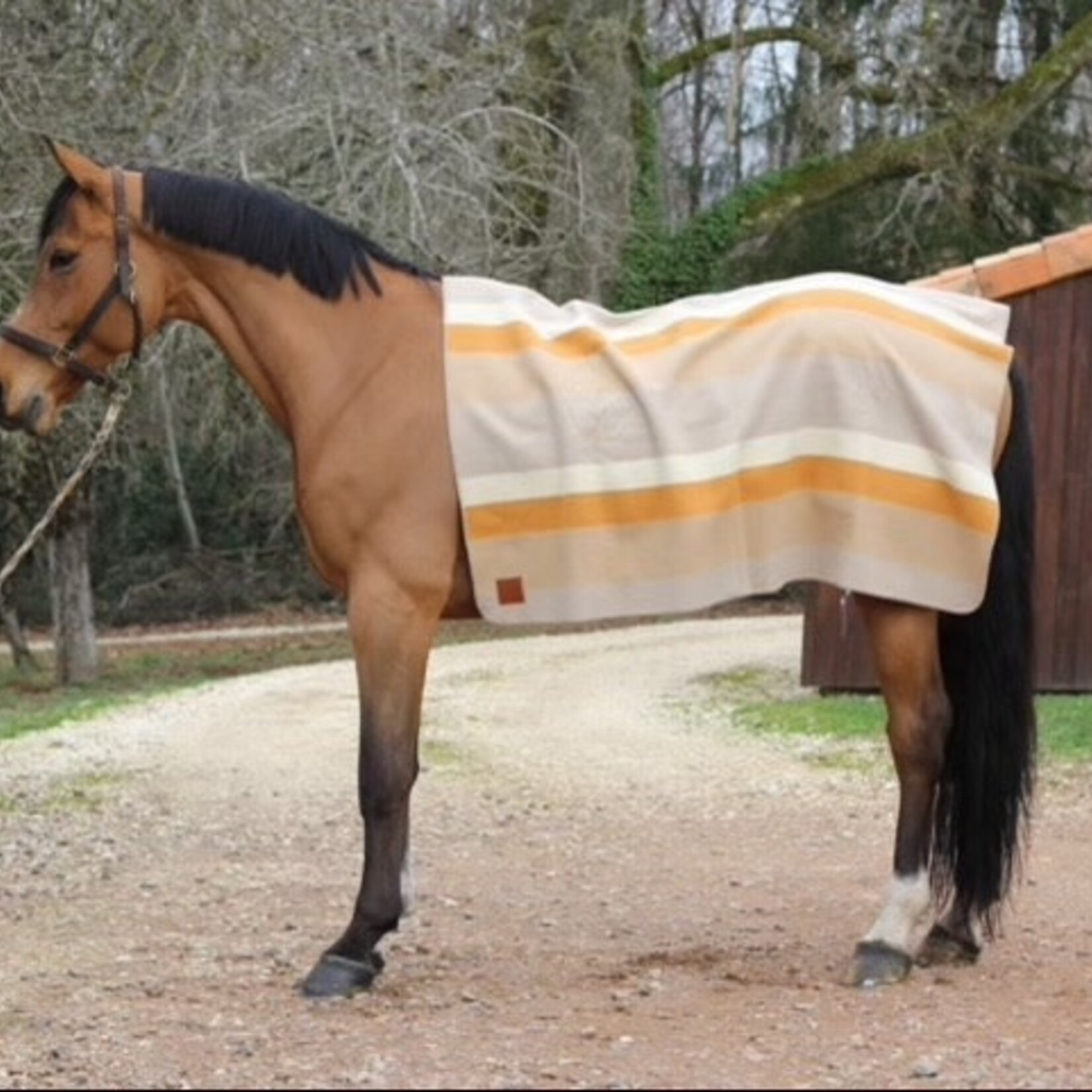 Butet La Méricaine x Butet 50 pc Limited Edition Wool Blanket