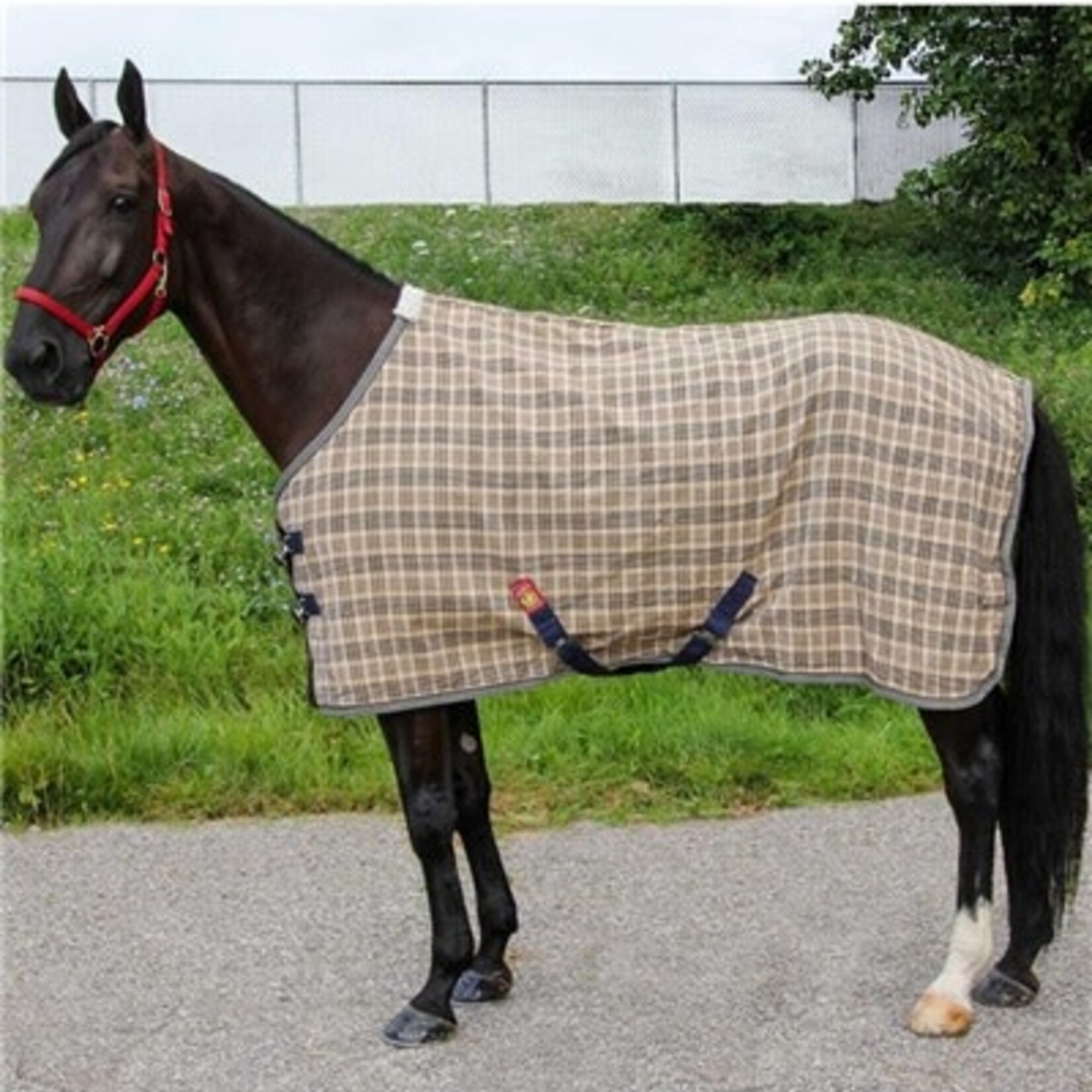 Baker 5/A Baker Deluxe Blanket