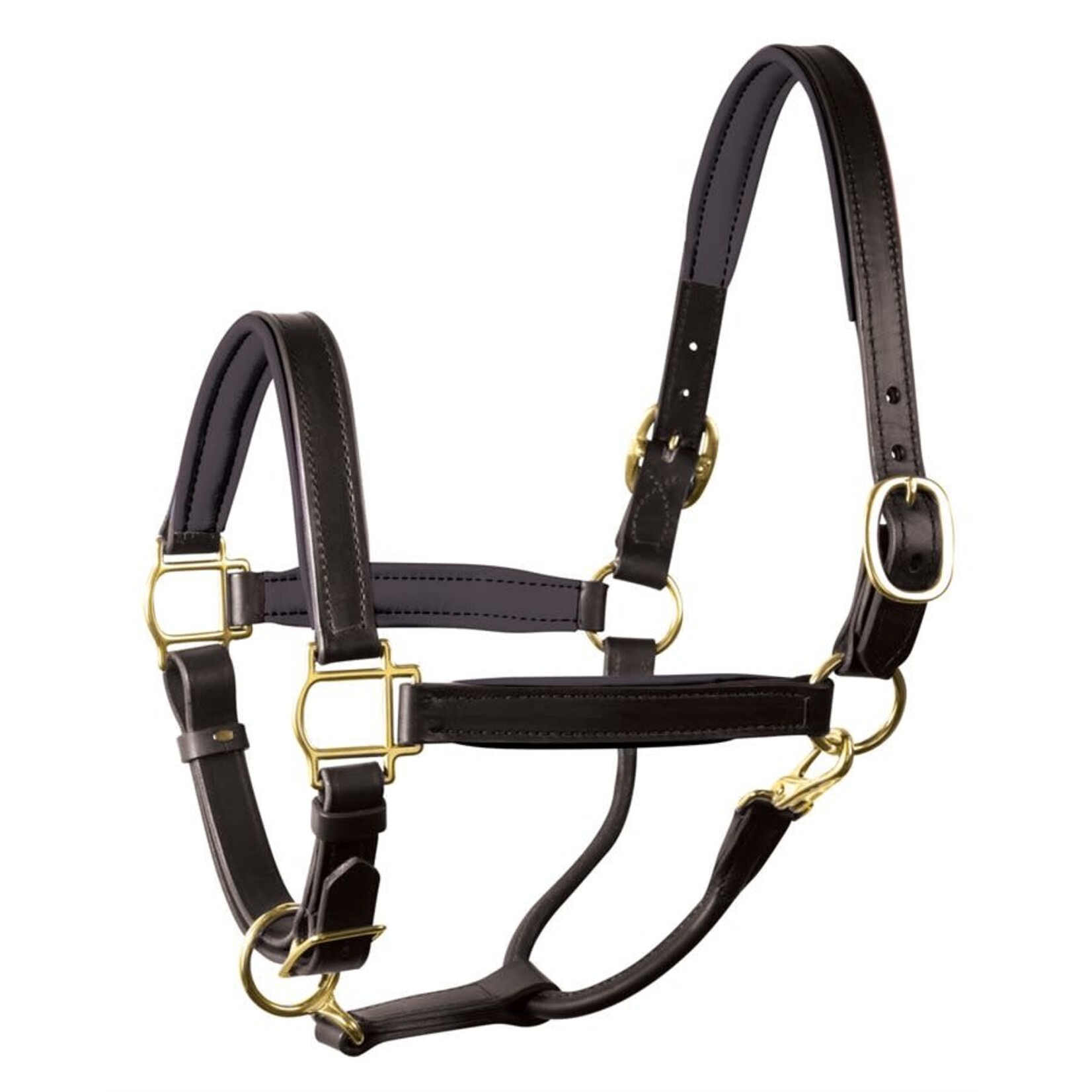 190 Perri's 1" Padded Halter w/ Brass Hardware