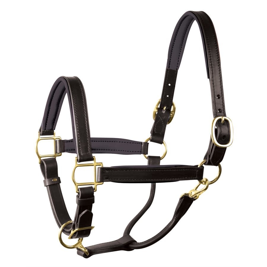 Perri's Soft Padded Leather Halter – The Equestrian Centre