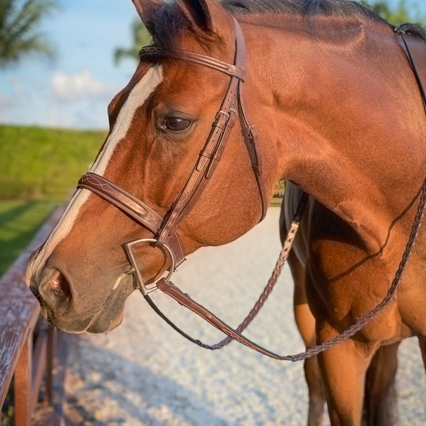Beval Heritage Wide Caveson Hunter Bridle - RIDE Beval Heritage Wide Caveson Hunter Bridle - RIDE