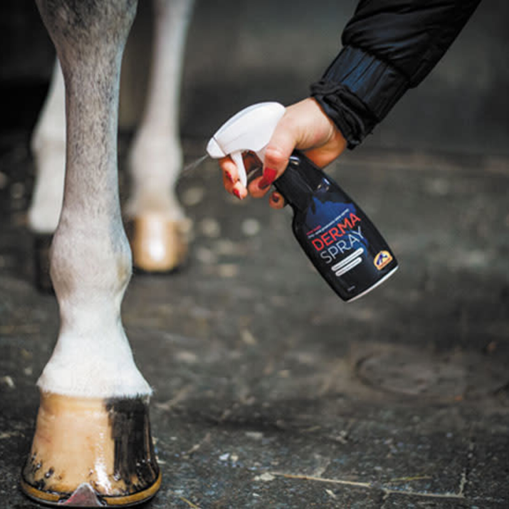 Cavalor Cavalor Derma Spray