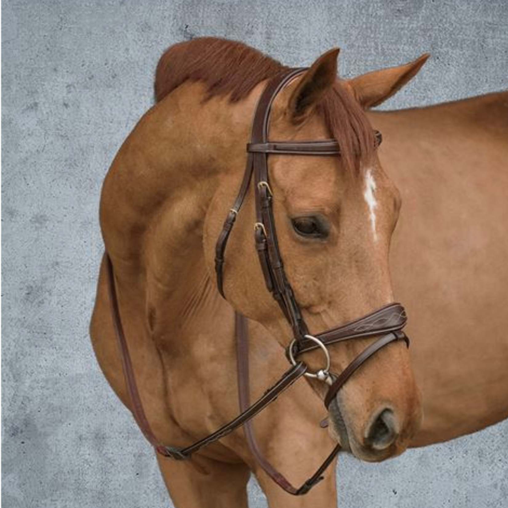 Dy'on DY05B Dy'on Fancy Stitched 5/8" Rubber Reins