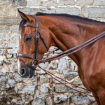 Dy'on Dy'on D-Collection 5/8" Leather/Nylon Draw Reins