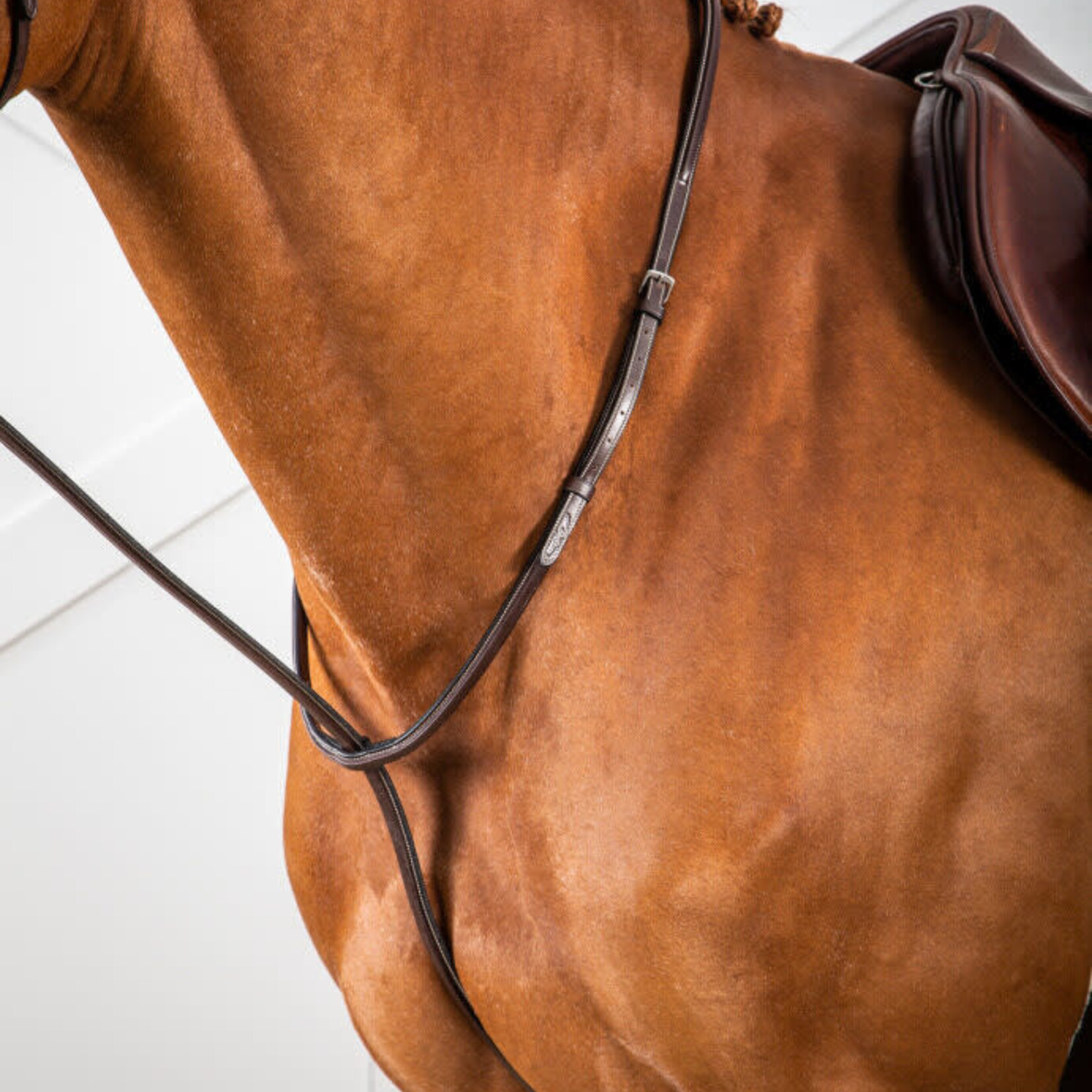 Dy'on US07H Dy’on Hunter Collection Standing Martingale